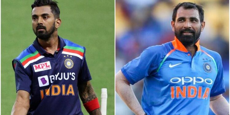 t20-wc:-ലോകകപ്പിൽ-കെഎൽ-രാഹുൽ-കൂടുതൽ-റൺസ്-നേടുന്ന-താരമായേക്കാം,-ഷമി-കൂടുതൽ-വിക്കറ്റും:-ബ്രെറ്റ്-ലീ