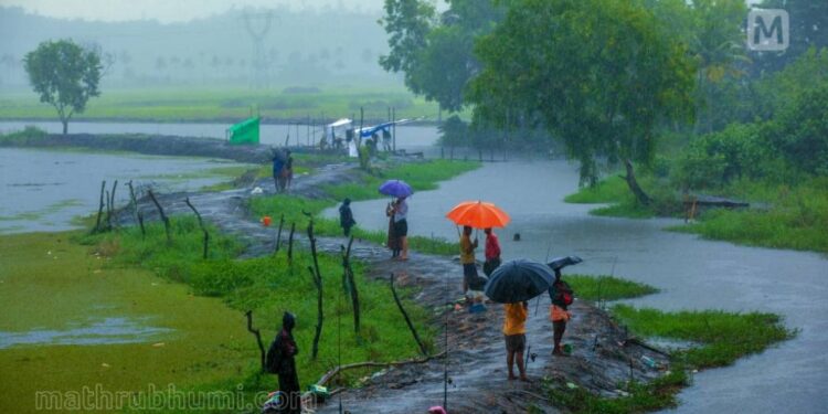 ചക്രവാതച്ചുഴിയുടെ-പ്രഭാവം-തുടരുന്നു;-കേരളത്തില്-26-വരെ-ഇടിമിന്നലോടു-കൂടിയ-വ്യാപക-മഴ
