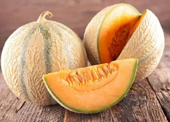 ലോകത്തെ-ഏറ്റവും-വിലയുള്ള-പഴം-ഏത്-എന്നറിയാമോ?-ജപ്പാൻകാരൻ-തണ്ണിമത്തൻ