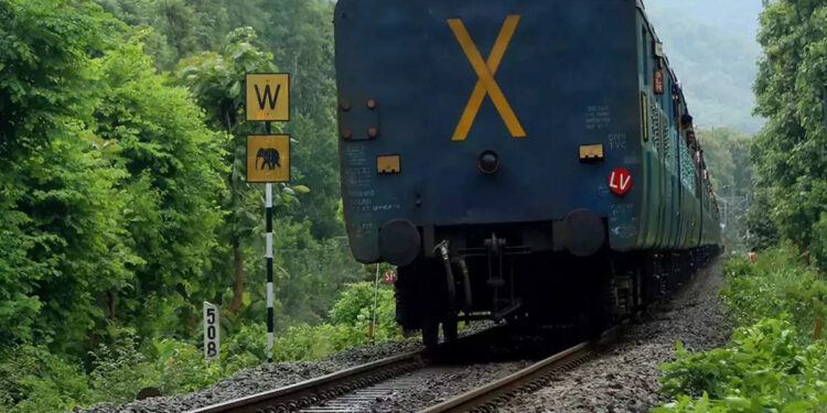 സിഗ്നൽവയര്‍-മുറിച്ചുമാറ്റി-13-വണ്ടികള്‍-പെരുവഴിയിൽ;-മേലുദ്യോഗസ്ഥനോടുള്ള-പക,-രണ്ട്-ജീവനക്കാര്‍ക്കെതിരെ-നടപടി