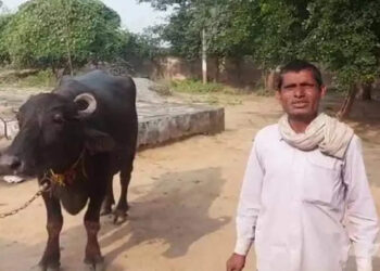 പാൽ-കറക്കാൻ-സമ്മതിക്കുന്നില്ല!-എരുമക്കെതിരെ-പോലീസിൽ-പരാതിയുമായി-കർഷകൻ