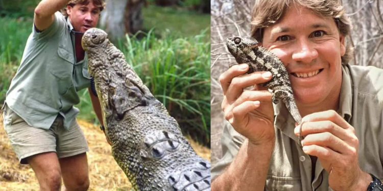 ഓർമ്മയുണ്ടോ-സ്റ്റീവ്-ഇർവിനെ?-പ്രശസ്തനായ-‘മുതലപിടുത്തക്കാരൻ’