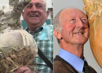 ഒന്നരമീറ്റര്‍-നീളമുള്ള-വെളുത്തുള്ളിച്ചെടി,-50-കിലോയുള്ള-മത്തങ്ങ:-ലോക-റെക്കോഡിട്ട-ഭീമന്‍-പച്ചക്കറികൾ