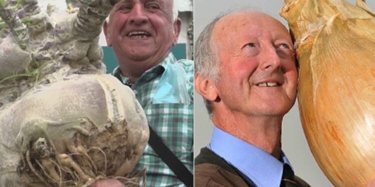 ഒന്നരമീറ്റര്‍-നീളമുള്ള-വെളുത്തുള്ളിച്ചെടി,-50-കിലോയുള്ള-മത്തങ്ങ:-ലോക-റെക്കോഡിട്ട-ഭീമന്‍-പച്ചക്കറികൾ