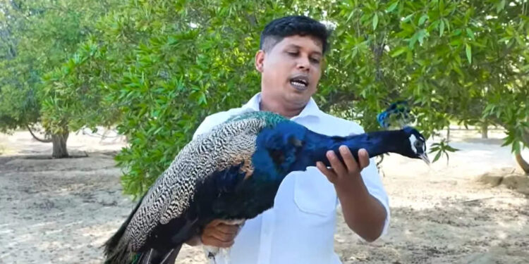 അത്-തിരക്കഥയുണ്ടാക്കി-ഷൂട്ട്-ചെയ്തത്;-വിവാദത്തിൽ-പ്രതികരണവുമായി-ഫിറോസ്-ചുട്ടിപ്പാറ