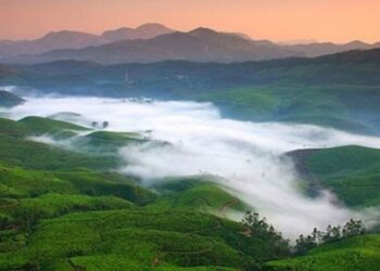 മൂന്നാറിൽ-മഴ-മാറി,-അതിശൈത്യമായി