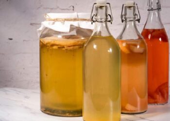 ‘അനശ്വരതയുടെ-ചായ’;-ആരോഗ്യപ്രദം-കൊംബുച്ച-ടീ