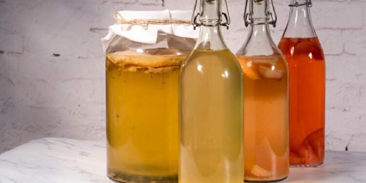 ‘അനശ്വരതയുടെ-ചായ’;-ആരോഗ്യപ്രദം-കൊംബുച്ച-ടീ