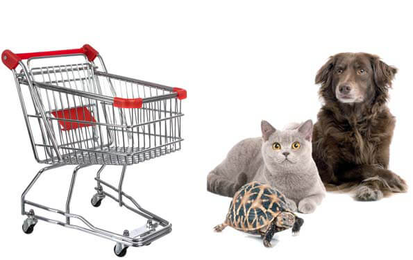 ഉപേക്ഷിക്കപ്പെട്ട ട്രോളികൾ/വാഹനങ്ങൾ/മൃഗങ്ങൾ എന്നിവക്കെതിരെ പിഴ ചുമത്തും.