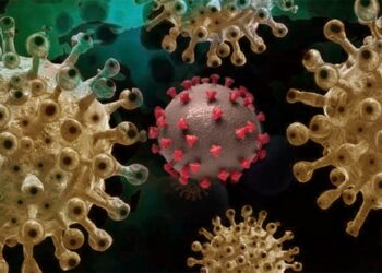 കൂടുതല്‍-രാജ്യങ്ങളില്‍-ഒമിക്രോണ്‍