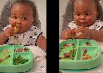 പൊരിച്ച-ചിക്കന്‍-കഷ്ണങ്ങള്‍-കറുമുറെ-കടിച്ച്-തിന്നുന്ന-കുരുന്ന്;-വൈറൽ-വീഡിയോ