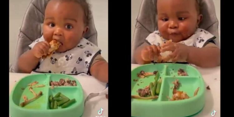 പൊരിച്ച-ചിക്കന്‍-കഷ്ണങ്ങള്‍-കറുമുറെ-കടിച്ച്-തിന്നുന്ന-കുരുന്ന്;-വൈറൽ-വീഡിയോ