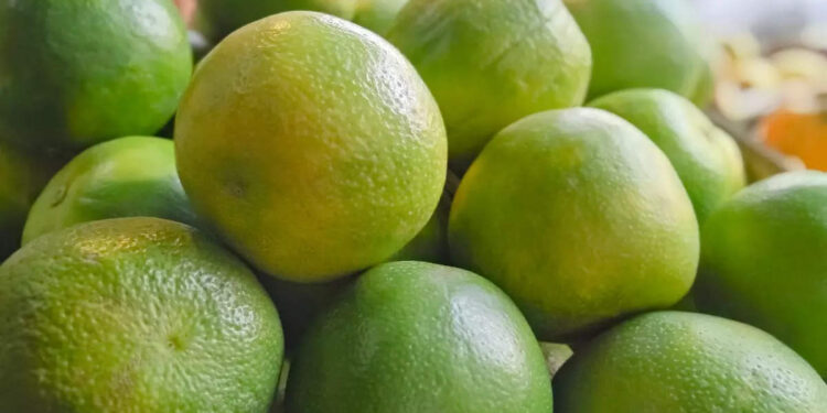 sweet-lime-:-പോഷക-ഗുണങ്ങളാൽ-സമ്പന്നമാണ്-മധുരനാരങ്ങ;-അറിയണം-ഈ-ഗുണങ്ങൾ