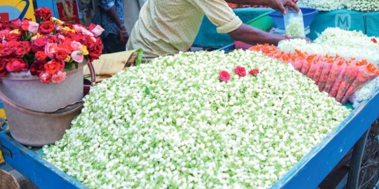 തമിഴകത്ത്-മുല്ലപ്പൂവിന്-കിലോ-4000-രൂപ