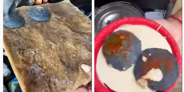 ഇഡ്ഡലി-വെളുത്ത-നിറത്തിലാവണം-എന്ന്-നിയമം-ഇല്ലല്ലോ?…ലെ