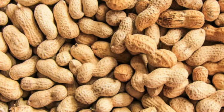 peanuts-:-നിലക്കടല-കഴിക്കുന്നത്-അമിതമായാൽ-അപകടം