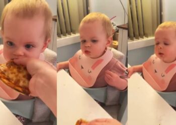 ആദ്യമായി-പിസ-കഴിച്ച്-കുരുന്ന്;-രുചിയില്‍-മതിമറന്നുള്ള-പ്രതികരണം-കണ്ട്-‘ക്യൂട്ടെ’ന്ന്-സോഷ്യല്‍-മീഡിയ