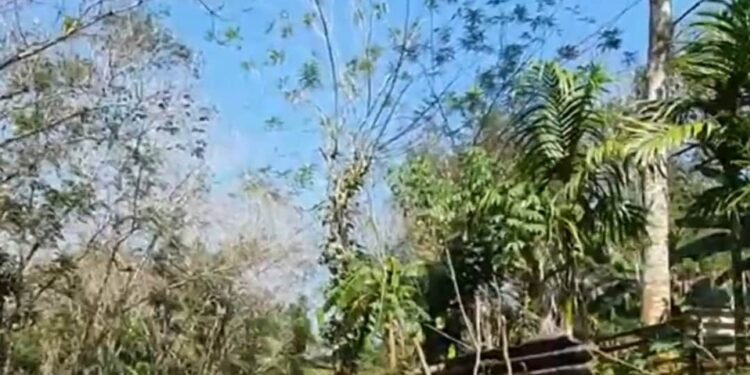 തിരുവനന്തപുരത്ത്-കാണാതായ-മൂന്ന്-ആണ്‍കുട്ടികളെ-കണ്ടെത്തി