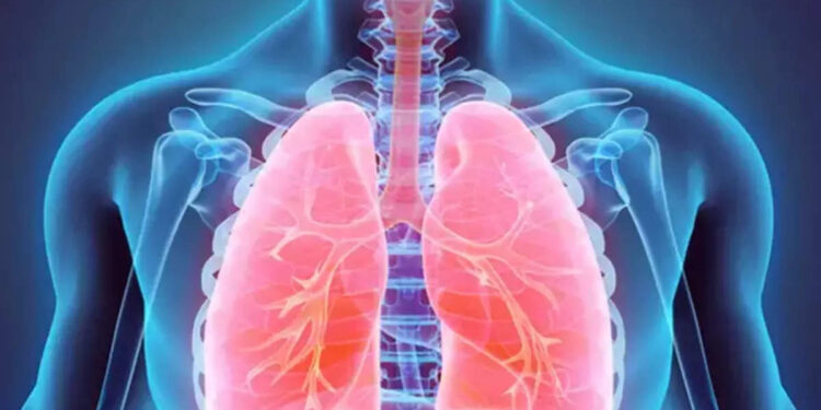 ശ്വാസകോശത്തിന്റെ-ആരോഗ്യം-നിലനിർത്താൻ-ശ്രദ്ധിക്കേണ്ട-ചില-കാര്യങ്ങൾ