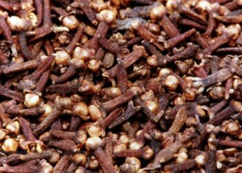 ഗുണമേന്മ-കുറഞ്ഞ-ഗ്രാമ്പൂ-ആണോ-ഉപയോഗിക്കുന്നത്?-കണ്ടുപിടിക്കാന്‍-എളുപ്പവഴിയുമായി-എഫ്എസ്എസ്എഐ.