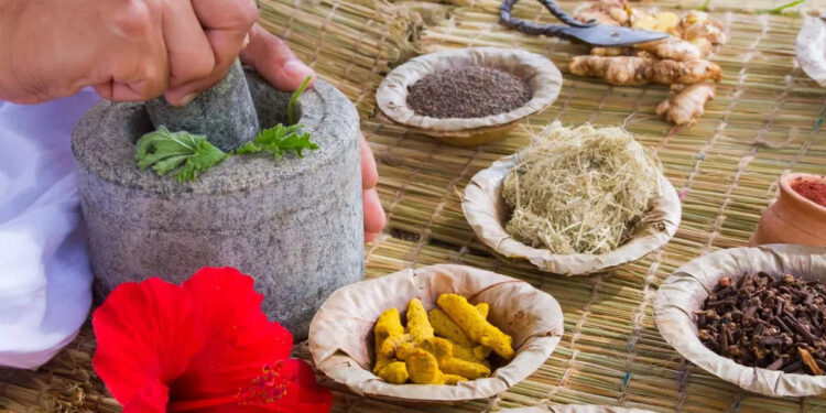 നല്ല-രോഗ-പ്രതിരോധത്തിന്-സഹായിക്കുന്ന-ഔഷധ-സസ്യങ്ങൾ