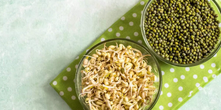 sprouts-:-മുളപ്പിച്ച-പയർ-വർഗ്ഗങ്ങൾ-കഴിക്കൂ,-ആരോഗ്യം-കൂടെപ്പോരും