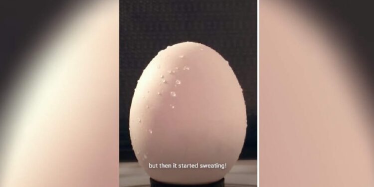 മൈക്രോവേവില്‍-വെച്ച്-മുട്ട-ചൂടാക്കിയാല്‍-എന്ത്-സംഭവിക്കും;-വൈറല്‍-വീഡിയോ