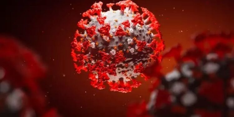 കോവിഡ്-മാനദണ്ഡങ്ങള്‍ക്ക്-വനംവകുപ്പില്‍-പുല്ലുവില;-ട്രെയിനികളുമായി-സ്റ്റഡി-ടൂറിന്-ഒരുക്കം