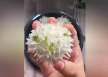 കണ്ടാൽ-പേടി-തോന്നുമെന്നേ-ഉള്ളു,-രുചി-വേറെ-ലെവൽ;-വൈറലായി-കൊറോണ-വട