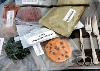 ബഹിരാകാശ-ഗവേഷകര്‍ക്ക്-ഭക്ഷണം-ഉണ്ടാക്കി-നല്‍കിയാല്‍-നാസ-നല്‍കും-7.46-കോടി-രൂപ