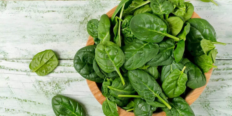 spinach:-ചീര-ആരോഗ്യകരമാണ്;-എന്നാൽ-അമിതമായാൽ-അപകടം