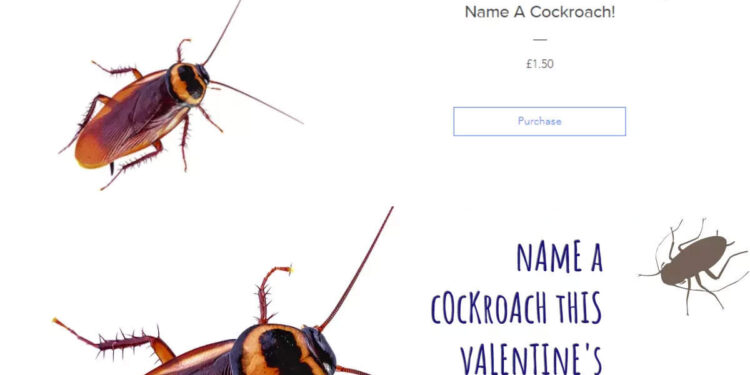 വാലന്റൈൻസ്-ഡേ!-‘തേച്ച’-കാമുകന്റെ,-കാമുകിയുടെ-പേര്-ഒരു-പാറ്റയ്ക്ക്-ഇട്ടാലോ?