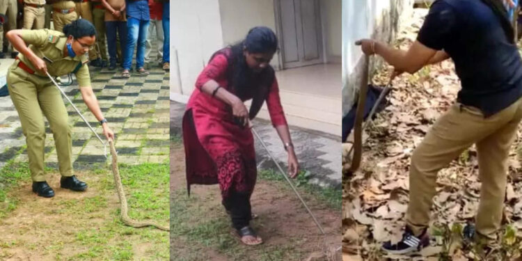 പേടിയോ,-എന്തിന്?-ശാസ്ത്രീയമായി-പാമ്പിനെ-പിടിക്കുന്ന-അഞ്ച്-സ്ത്രീകൾ-സംസാരിക്കുന്നു