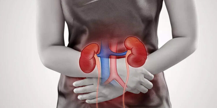 kidney-health:-വൃക്കകൾ-ആരോഗ്യത്തോടെ-സൂക്ഷിക്കാൻ-ചെയ്യേണ്ടത്-ഈ-കാര്യങ്ങൾ