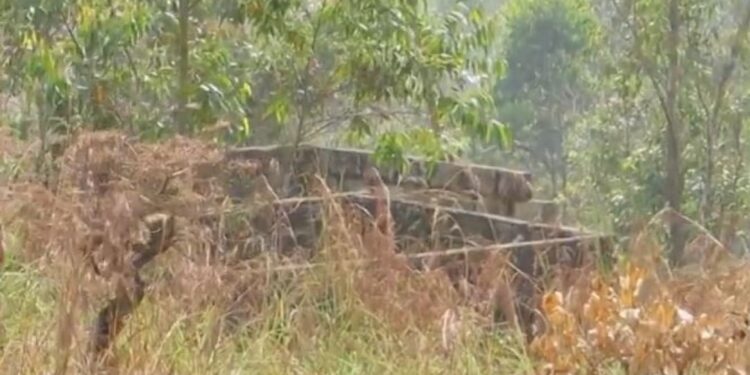 ഇടുക്കിയില്‍-ആദിവാസികുടുംബങ്ങളെ-ഒഴിപ്പിക്കാന്‍-വനംവകുപ്പ്-നീക്കം;-15-ലക്ഷം-നല്‍കാമെന്നും-വാഗ്ദാനം