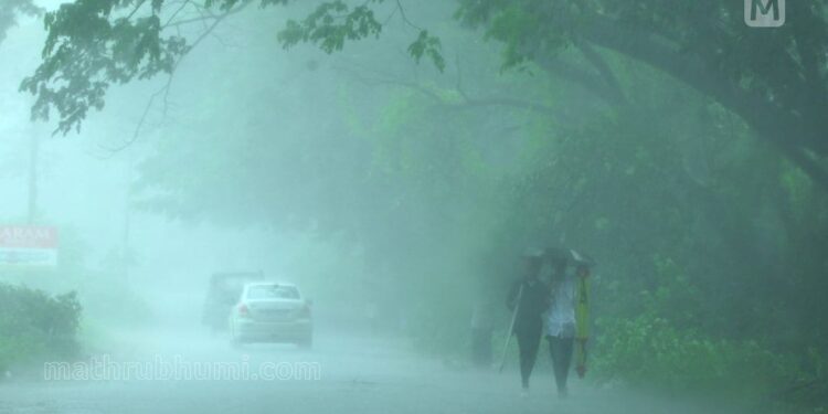 മധ്യകേരളത്തിലും-തെക്കന്‍-കേരളത്തിലും-മഴയ്ക്ക്-സാധ്യതയെന്ന്-കാലാവസ്ഥാ-പ്രവചനം