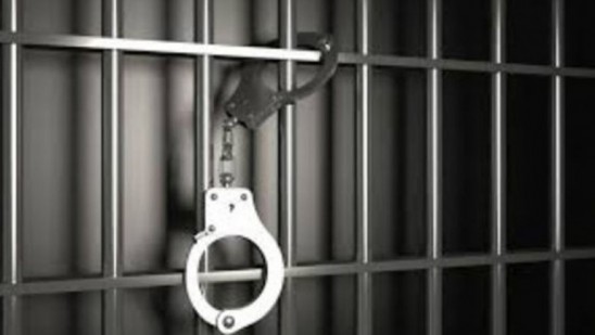 പോക്സോ-കേസില്-യുവാവ്-അറസ്റ്റില്