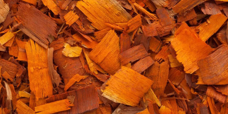 നല്ല-ആരോഗ്യത്തിന്-പതിമുഖം-ചേർത്ത-വെള്ളം-കുടിക്കുന്നത്-പതിവാക്കിക്കോളൂ