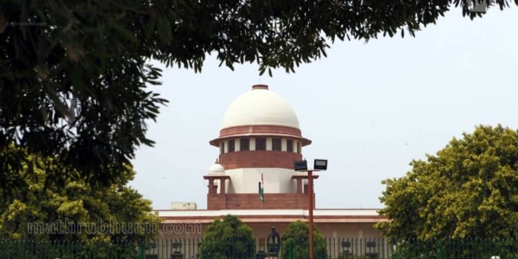 കെഎസ്ഇബിയിലെ-സ്ഥാനക്കയറ്റം:-സർക്കാർ-പുറത്തിറക്കിയ-ഇളവുകൾ-ശരിവച്ച്-സുപ്രീംകോടതി