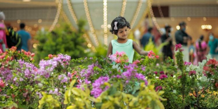 പുഷ്പമേളയെ-വരവേറ്റ്-തലസ്ഥാനം;-ലുലു-ഫ്ളവര്-ഫെസ്റ്റില്-ആയിരത്തിലധികം-വൈവിധ്യങ്ങള്