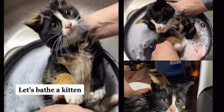 ഈ-‘കുളിസീൻ’-കണ്ടോളൂ?-ഒട്ടും-മോശം-വിചാരിക്കേണ്ട