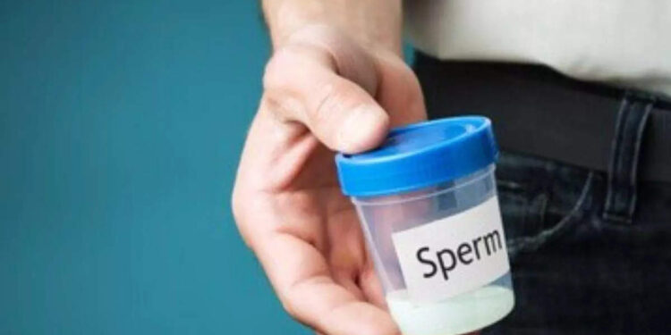 ഭാര്യയെ-അറിയിക്കാതെ-ബീജദാതാവായി,-ഭർത്താവിനെ-കാത്തിരുന്നത്-എട്ടിന്റെ-പണി