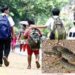 വടക്കാഞ്ചേരിയിൽ-സ്‌കൂൾ-കുട്ടിയെ-പാമ്പുകടിച്ചു