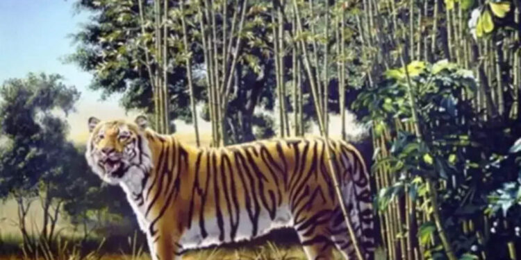 ഈ-ചിത്രത്തിലെ-രണ്ടാമത്തെ-കടുവയെ-കണ്ടുപിടിക്കാമോ?-തല-പുകഞ്ഞ്-സോഷ്യല്‍-മീഡിയ