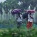 ഇടിമിന്നലോടെ-വ്യാപക-മഴ;-13-ജില്ലയിൽ-ഇന്ന്‌-മഞ്ഞ-അലർട്ട്‌