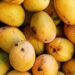 national-mango-day-2022:-ദേശീയ-മാമ്പഴ-ദിനത്തിന്റെ-ചരിത്ര-പ്രാധാന്യവും-പഴങ്ങളുടെ-രാജാവിനക്കുറിച്ചുള്ള-രസകരമായ-വസ്തുതകളും