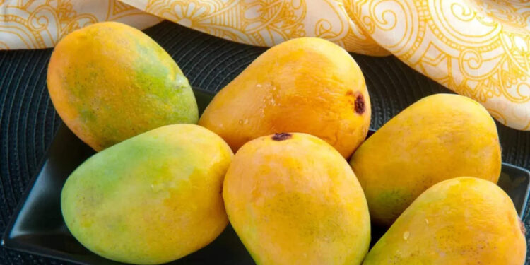national-mango-day-2022:-സ്ത്രീകള്‍-മാങ്ങകഴിച്ചാല്‍-നിരവധിയാണ്-ഗുണങ്ങള്‍