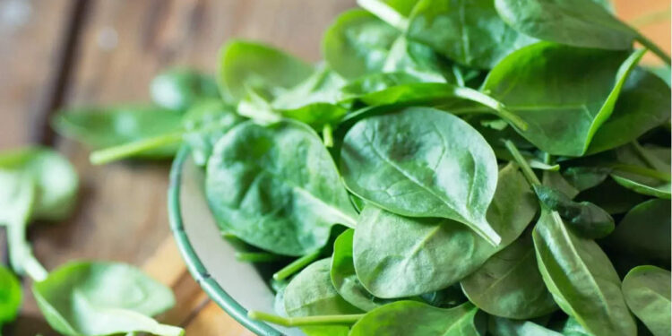 spinach-benefits:-ചീരകഴിച്ചാല്‍-അനവധിയാണ്-ഗുണങ്ങള്‍