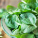 spinach-benefits:-ചീരകഴിച്ചാല്‍-അനവധിയാണ്-ഗുണങ്ങള്‍