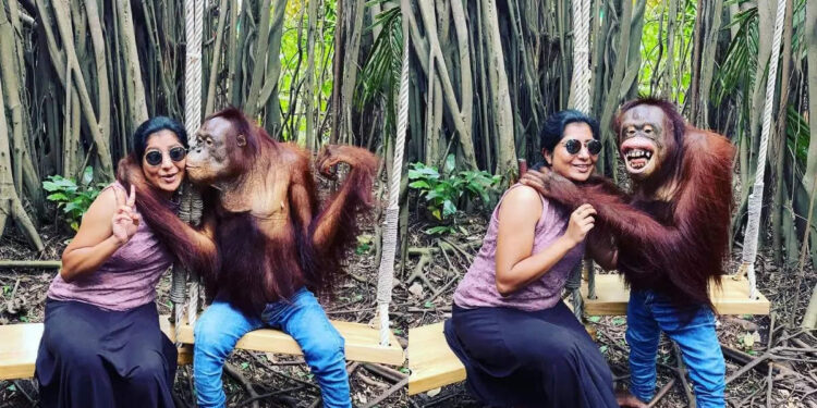 കെട്ടിപ്പിടിക്കും-ഉമ്മ-വയ്ക്കും-ഓമനിക്കും;-യുവതിയ്‌ക്കൊപ്പം-ഫോട്ടോയ്ക്ക്-പോസ്-ചെയ്ത്-ചിമ്പാന്‍സി-വൈറലായി-വീഡിയോ